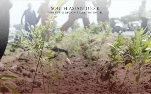 Monsoon Plantation Campaign Begins in Khyber Pakhtunkhwa Districts