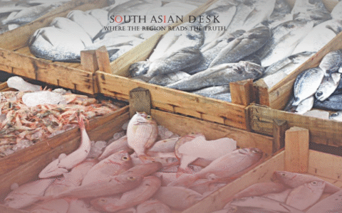 Pakistan’s Seafood Exports Climb 13% to $465 Million in FY25