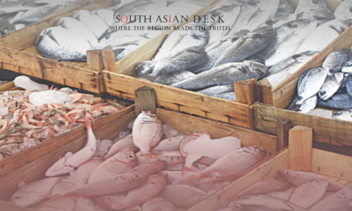 Pakistan’s Seafood Exports Climb 13% to $465 Million in FY25