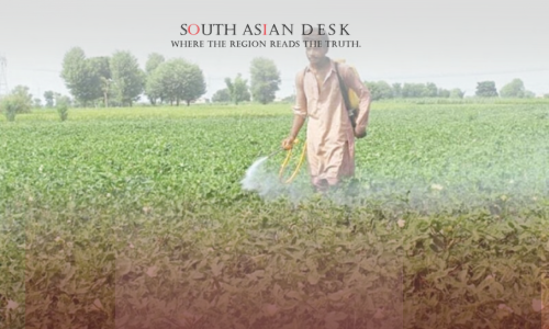 Pakistan Forms New Body to Oversee Agri-Trade Infrastructure