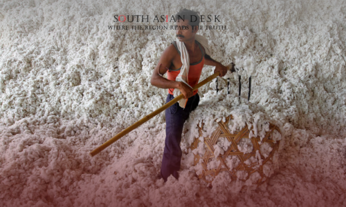 Indian textile workers handle raw cotton amid duty exemption to counter US tariffs in August 2025.