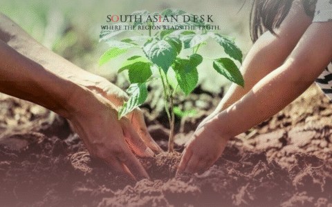 One Child's Hand and One Male Hand Planting a Small Plant Together, depicting plantation drive