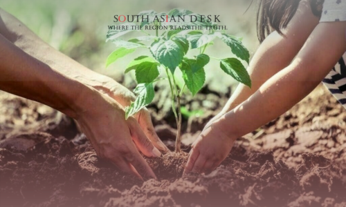 One Child's Hand and One Male Hand Planting a Small Plant Together, depicting plantation drive