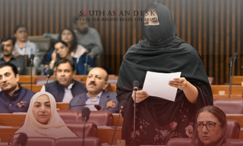 Pakistan's Female MNA in mask Speaking for cybercrime penalties