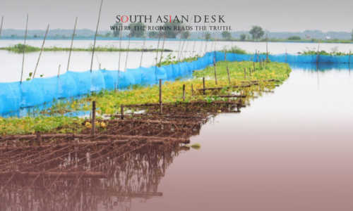 Jashore Fisheries Suffer Heartbreaking Tk 133.43 Crore Loss from Relentless Rainfall