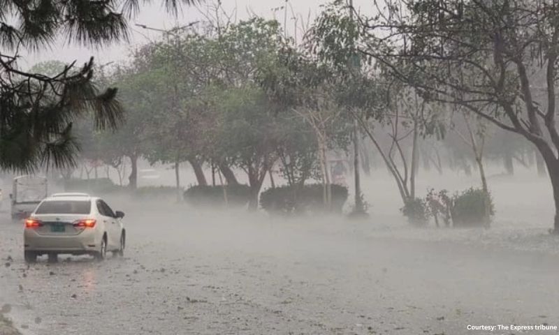 Monsoon in Punjab: Flood alert as PDMA warns residents with seventh monsoon wave nearing 2 Monsoon in Punjab: Flood alert as PDMA warns residents with seventh monsoon wave nearing
