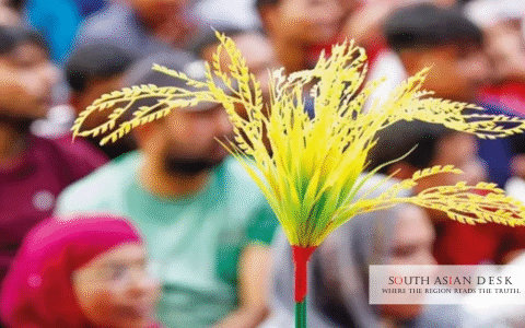 BNP Bangladesh Meeting