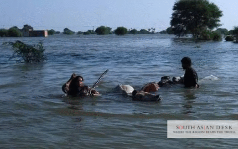 Panjnad Confluence can be seen in the picture