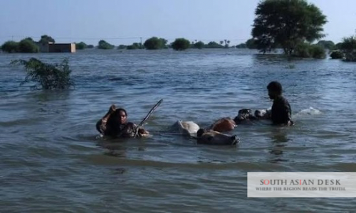 Panjnad Confluence can be seen in the picture