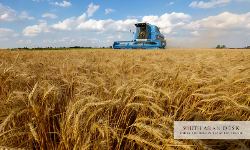 Pakistan Rabi Season 2025 Set for Record Water Boost 1 A pleasant field showing Rabi Season 2025