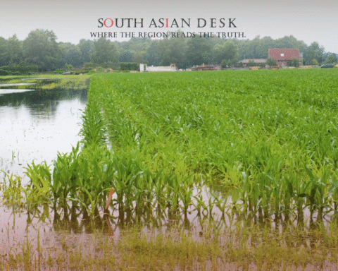 Pakistan Floods Devastation can be seen in the Agricultural Land