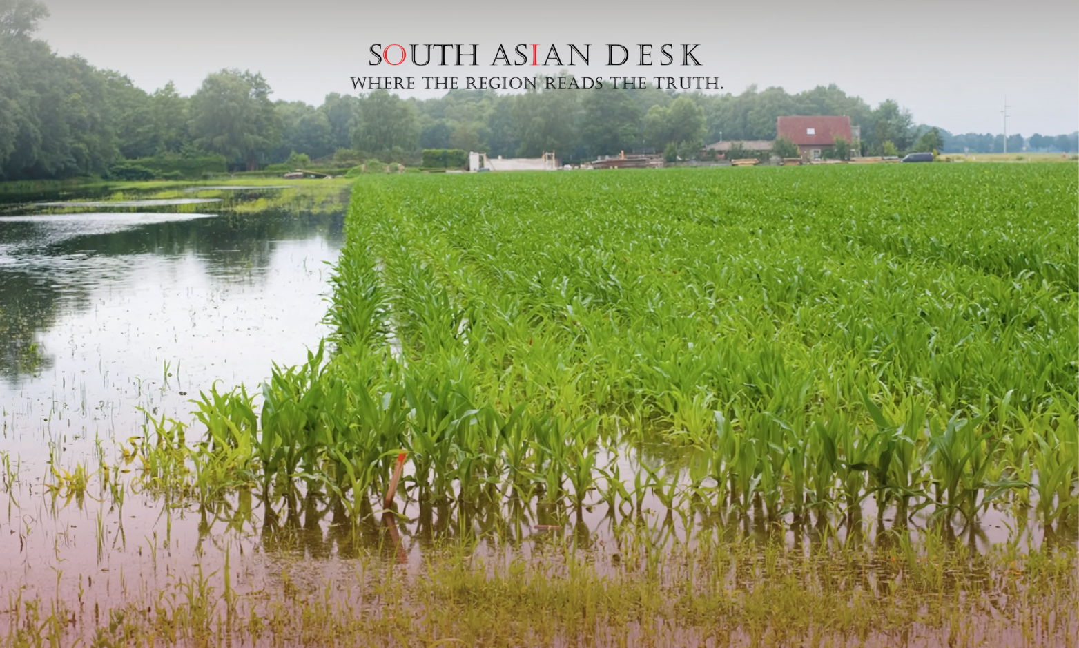 Pakistan Floods Devastation can be seen in the Agricultural Land