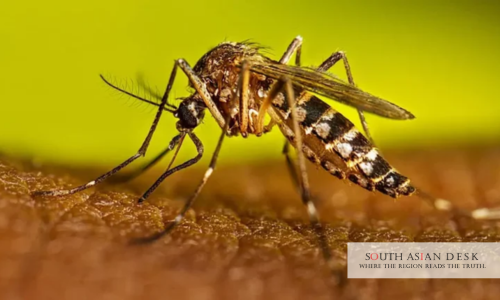 Dengue Cases Bangladesh Last 24 Hours: 510 New Infections Reported 1 Dengue Cases Bangladesh Last 24 Hours 510 New Infections Reported