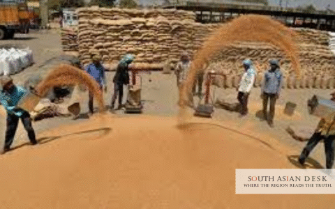 India Rabi MSP Hike as Farmers seen to be working in Field