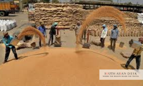 India Rabi MSP Hike: Rs 84,263 Cr Boost for Farmers 1 India Rabi MSP Hike as Farmers seen to be working in Field