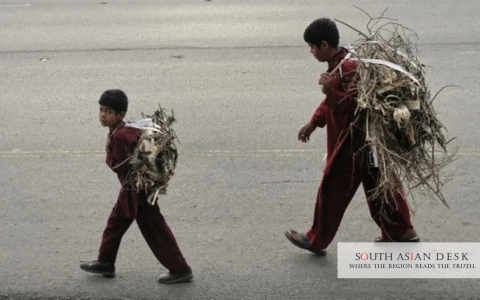 1.3m Children Engaged in Child Labour in Sindh
