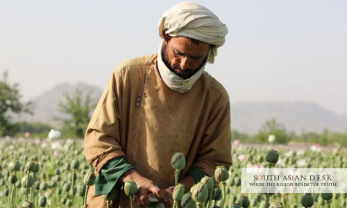 Afghanistan Opium Decline Taliban Ban UN Report Cuts Output 32%