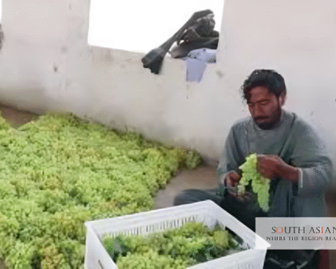 Afghanistan Uzbekistan Agriculture Export Deal Boosts Trade by $500m