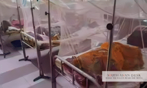 Bangladesh Dengue Surge
