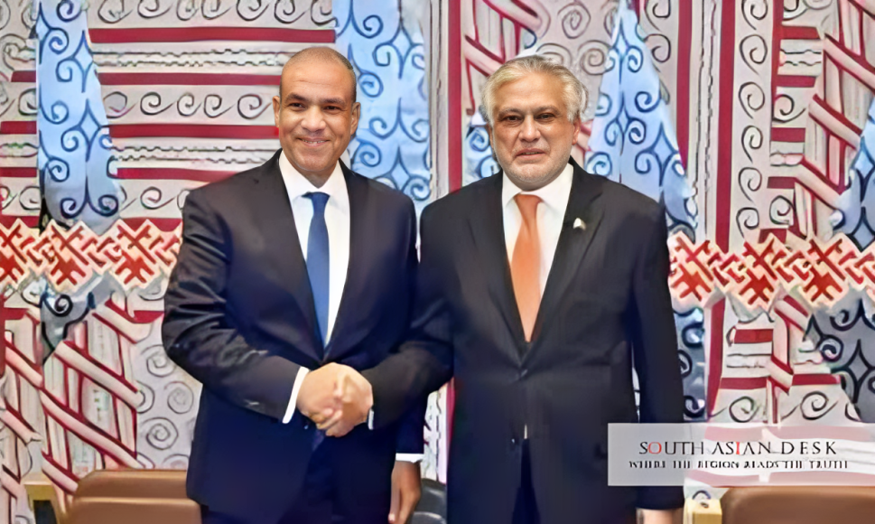 Egyptian Foreign Minister Due in Pakistan Today on 2-Day Visit