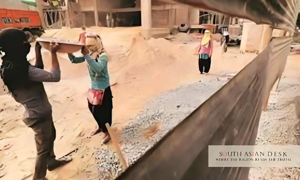 India Implements Labour Codes: 64 Million Workers Gain Protections