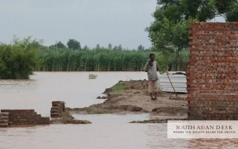 Pakistan Floods 2025 Crop Damage: 849,000 Ha Ravaged