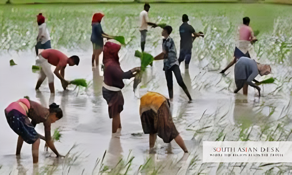 Trump Tariff Rollback Benefits Indian Farmers with $3B Export Surge