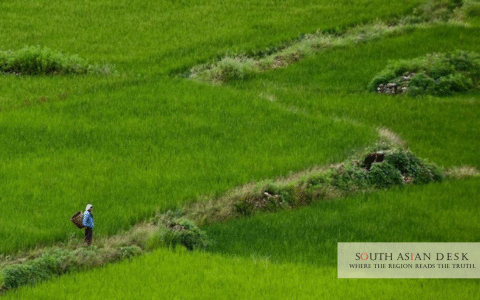 WFP 14 Million Bhutan Food Systems Boost Targets Resilience