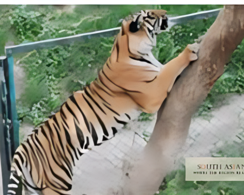 AJK Wildlife Management Gets 5 University Boost