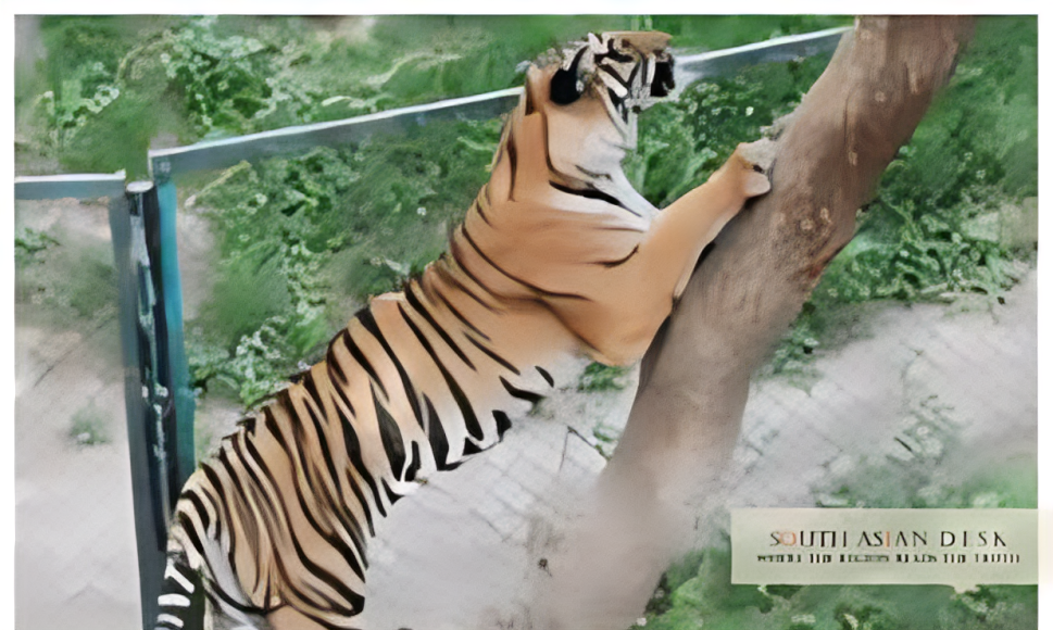 AJK Wildlife Management Gets 5 University Boost