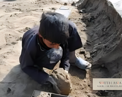 Child Labour in Afghanistan Surges to 3 Million