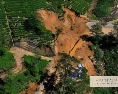 Cyclone Ditwah Sri Lanka Kills 635, Ravages Tea Heartland