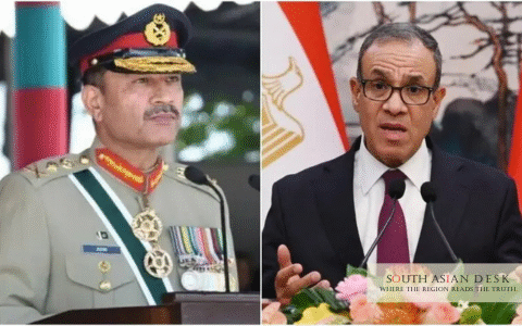 Egyptian FM Pakistan COAS Asim Munir Meeting Boosts Defence Ties
