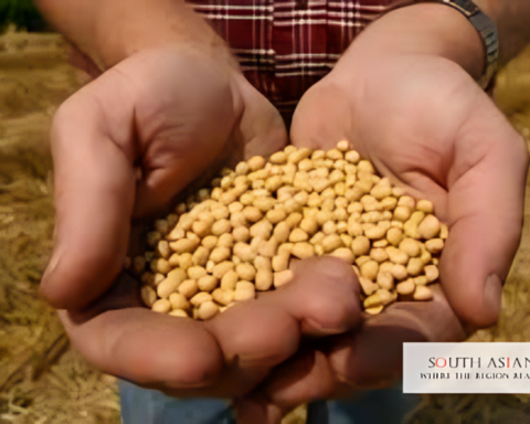 GM Crops in India: US Pushes 119MT Soya Amid Tariffs