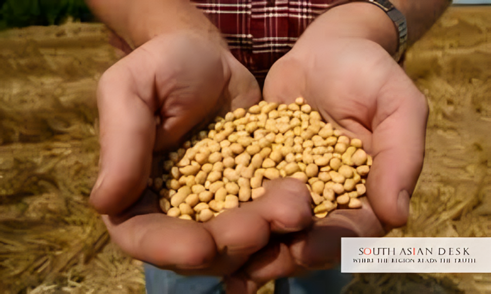 GM Crops in India: US Pushes 119MT Soya Amid Tariffs