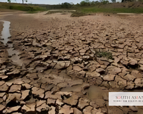 India Water Crisis Hits Beverage Giants in 2025