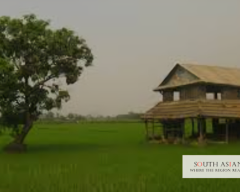 Terai Nepal Tops Lonely Planet's 2025 Destinations