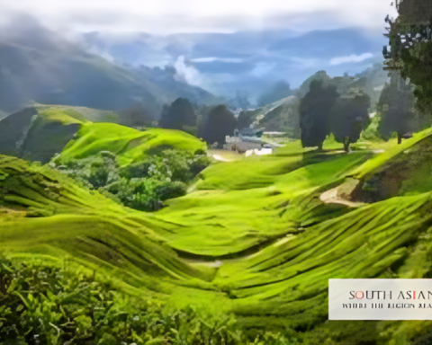 Winter Destinations South Asia: 10 Top Escapes for 2025