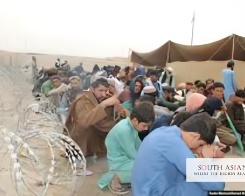 Afghans Detained in Turkey: 32 Found in Sewage Tanker