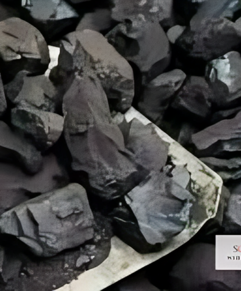 Coal India E-auction Opens to Neighbours, Shares Rise 6%