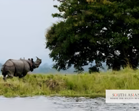 Kaziranga Elevated Corridor: PM Modi Launches ₹6,957-Crore Wildlife Project