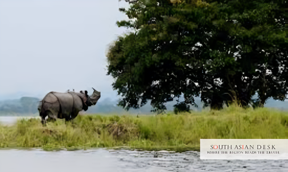 Kaziranga Elevated Corridor: PM Modi Launches ₹6,957-Crore Wildlife Project