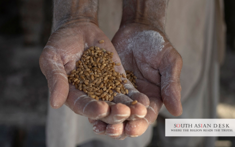 Pakistan Government Approves Subsidised Wheat