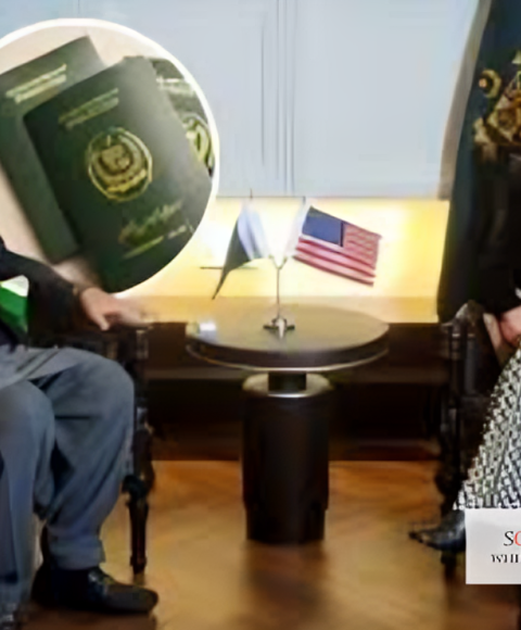 Visa Fraud Pakistan: 47% Drop Amid US Crackdown