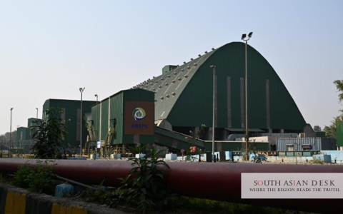 Assam Tea Gardens Transition to Bamboo for Bioethanol Production