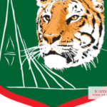 Bangladesh Cricket Embarks on Historic Women’s League: Announces Maiden Women’s Bangladesh Premier League