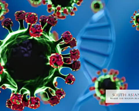 Nipah Virus Pakistan: No Threat Despite 2 India Cases