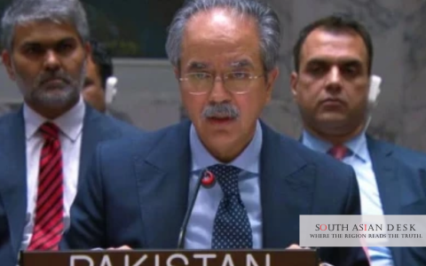 Pakistan Reaffirms Opposition to Expansion of UNSC Permanent Seats