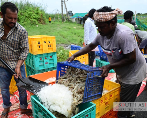 Andhra Pradesh leads India's Shrimp Export Growth