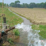 Diesel Shortage Threatens Boro Rice Production in Bangladesh